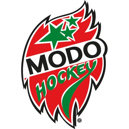 modo hockey